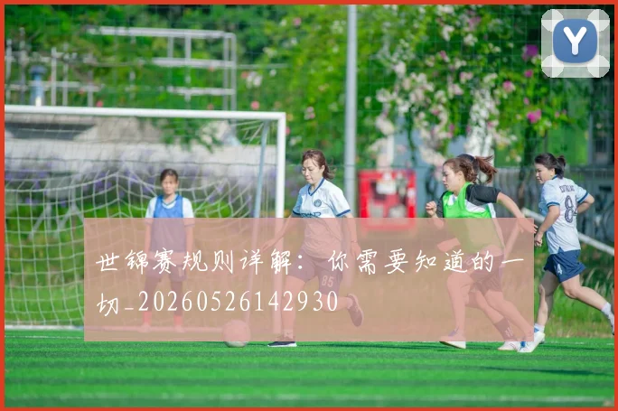 世锦赛规则详解：你需要知道的一切_20260526142930